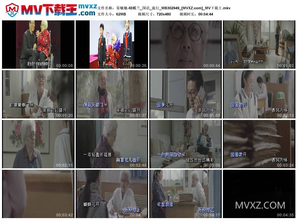 晏敏敏-蝴蝶兰_国语_流行_MB302949